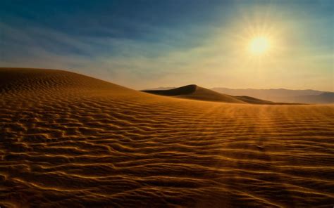 Sahara Sun 1xbet